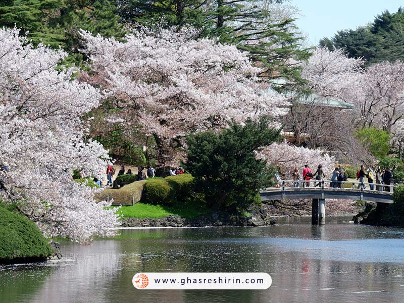 بخش های مختلف باغ شینجوکو گیوئن