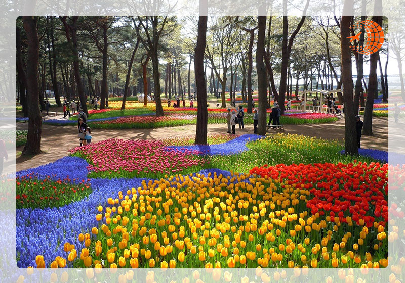 پارک هیتاچی ژاپن