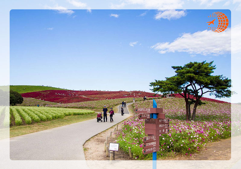 پارک هیتاچی ژاپن