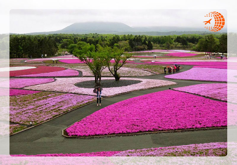 پارک هیتاچی ژاپن