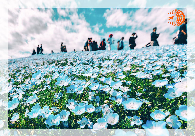 پارک هیتاچی ژاپن