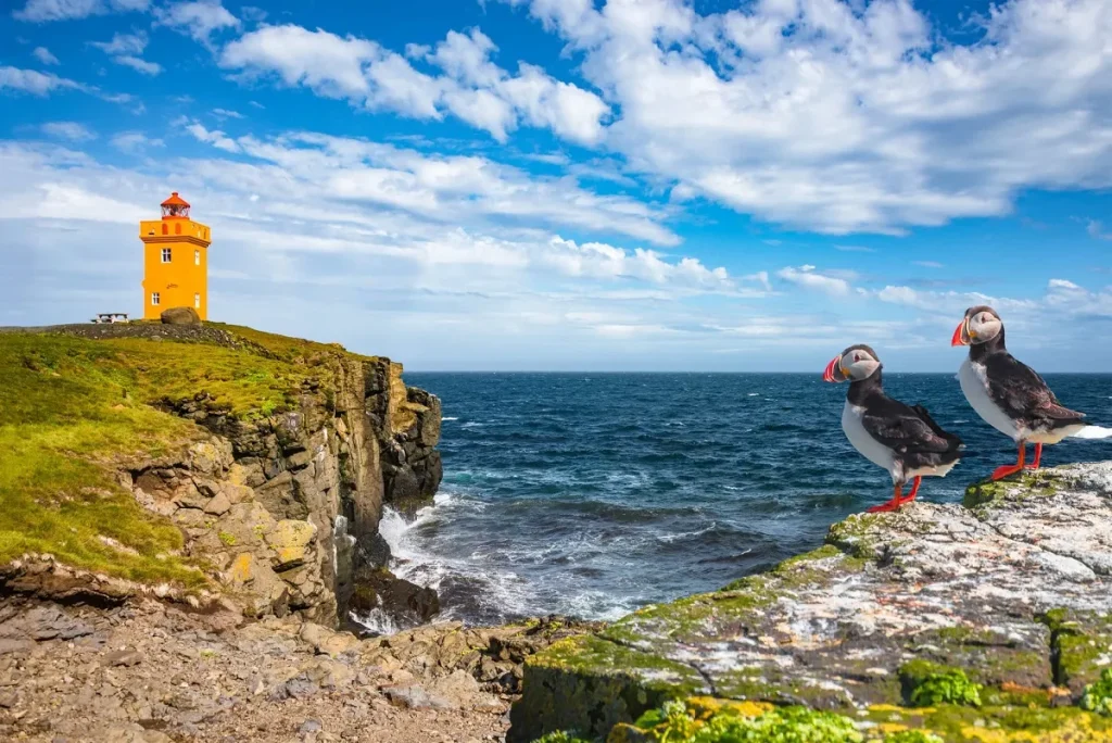 Grímsey: The Arctic island with 20 people and one million birds