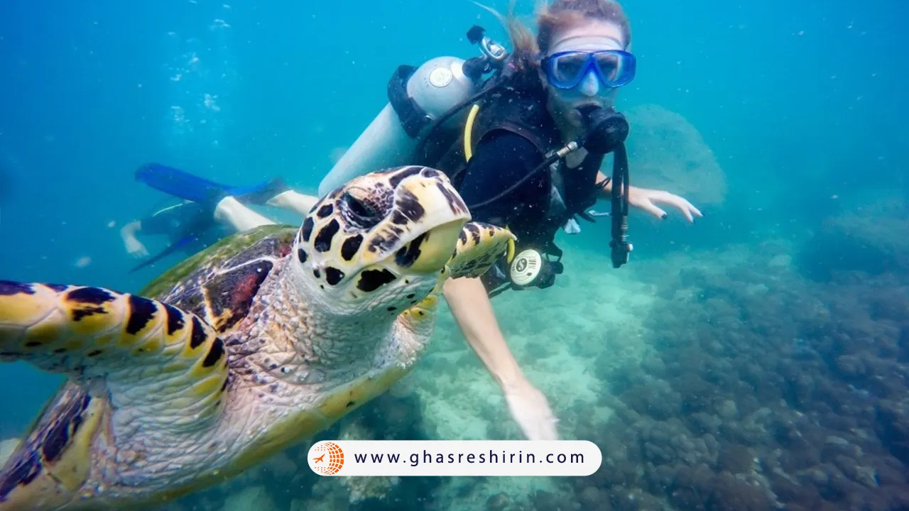 phuket snorkling